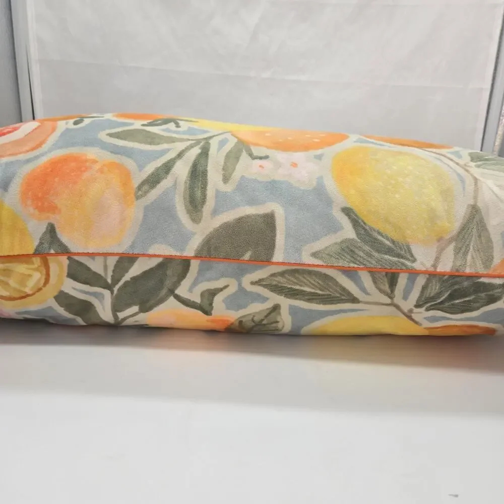 Citrus Theme Lumbar Pillow 13x24